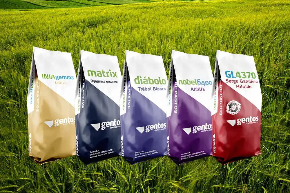 Bolsa-Semillas-Gentos-artebox-packaging