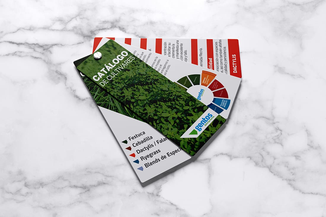 Catalogo-gentos-Diseño-grafico-Artebox